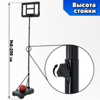 Баскетбольное кольцо с щитом и стойкой, мяч и насос в наборе, диаметр мяча 21 см, кольца 30 см - Фото 3