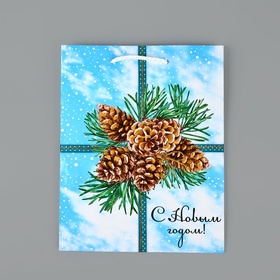 Пакет подарочный новогодний ламинированный «С Новым годом», MS 18?23?8 см (комплект 2 шт)