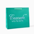 Пакет подарочный «Спасибо, что ты есть», голография, M 30 х 9 х 26 см - фото 322157049