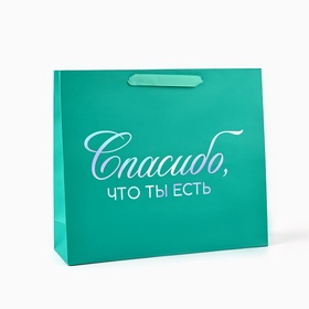 Пакет подарочный «Спасибо, что ты есть», голография, M 30 х 9 х 26 см