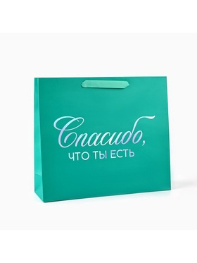Пакет подарочный «Спасибо, что ты есть», голография, M 30 х 9 х 26 см