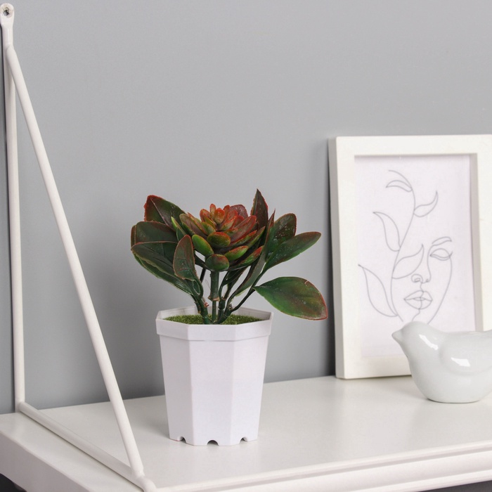 Искусственный цветок в горшке «Эхеверия», 6.5×10 см, МИКС