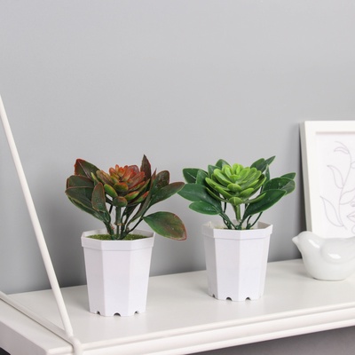 Искусственный цветок в горшке «Эхеверия», 6.5×10 см, МИКС