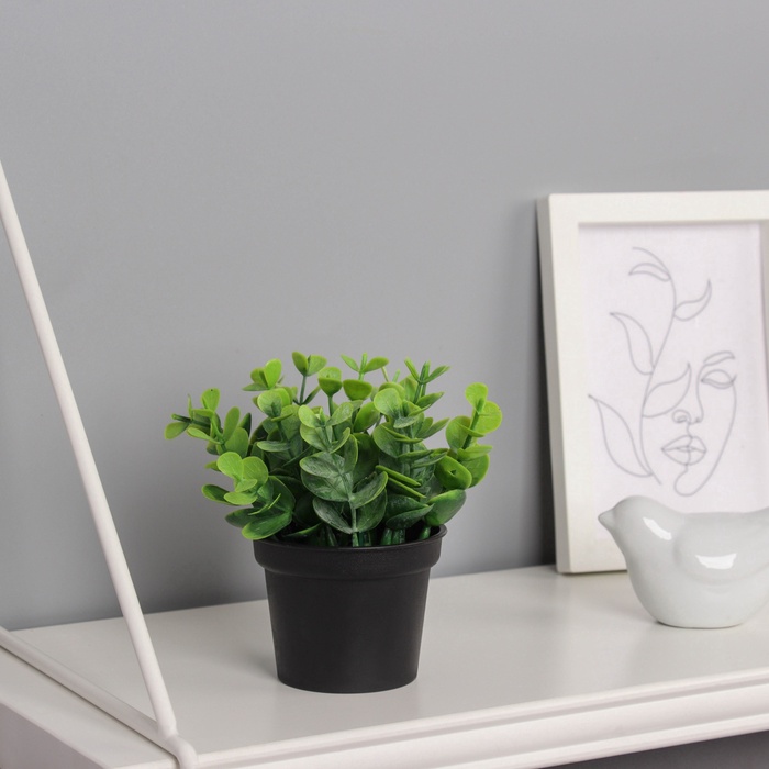 Искусственный цветок в горшке «Ива бойда мини», 7×11 см, зелёный