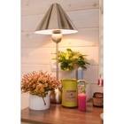 Искусственный цветок в горшке «Очиток комнатный», 17×10 см, МИКС - Фото 5