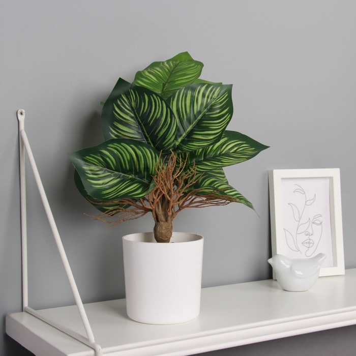 Искусственный цветок в горшке «Калатея комнатная», 31×10 см, зелёный - Фото 1