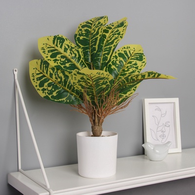 Искусственный цветок в горшке «Диффенбахия пятнистая», 10×34 см, МИКС
