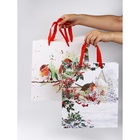 Набор пакетов «Новый год», 3 шт,  26 × 30 × 9 см 10707005