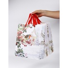 Набор пакетов «Новый год», 3 шт,  26 × 30 × 9 см 10707005