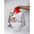 Набор пакетов «Новый год», 3 шт,  26 × 30 × 9 см 10707005