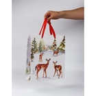 Набор пакетов «Новый год», 3 шт,  26 × 30 × 9 см 10707005