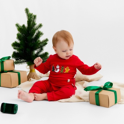 Костюм детский (кофточка и штанишки) «Крошка Я. Зимние друзья», рост 86-92 см