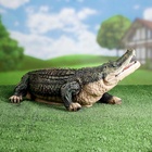 Садовая фигура из полистоуна «Крокодил», 20×50×28 см 1090100 - фото 319850560