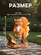 Садовая фигура из полистоуна «Белочка с орешком на пне», 25×12×23 см - Фото 2