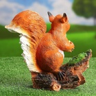 Садовая фигура из полистоуна «Белочка с орешком на пне», 25×12×23 см 1090065 - фото 319850587
