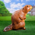 Садовая фигура из полистоуна «Бобер», 43×38×24 см - Фото 11