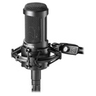 Студийный микрофон AUDIO-TECHNICA AT2050 - фото 51677946 Студийный микрофон AUDIO-TECHNICA AT2050 - фото 51677946