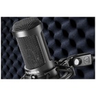 Студийный микрофон AUDIO-TECHNICA AT2050 - фото 51677949 Студийный микрофон AUDIO-TECHNICA AT2050 - фото 51677949