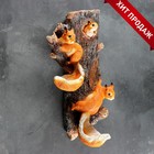 Садовая фигура из полистоуна «Навесные Белки поилки на дереве», подвесная, 60×33×17 см - Фото 5