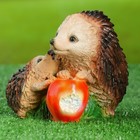 Садовая фигура "Ёжики с яблоком" 12х15х14см - Фото 5