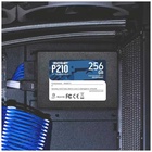 Накопитель SSD Patriot 2.5" P210 256 Гб SATA III P210S256G25 - фото 51680203