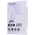 Накопитель SSD COLORFUL M.2 CN600 256GB PCIe - фото 51680474 Накопитель SSD COLORFUL M.2 CN600 256GB PCIe - фото 51680474