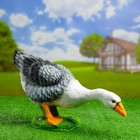 Садовая фигура из полистоуна «Гусь наклонившийся», 18×20×44 см - Фото 1