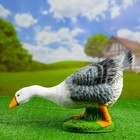 Садовая фигура из полистоуна «Гусь наклонившийся», 18×20×44 см - Фото 2