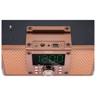 Портативная акустическая система MAX MR-360 BRONZE - фото 51684002 Портативная акустическая система MAX MR-360 BRONZE - фото 51684002