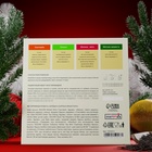 Новогодний набор чая «Мандарины», 24 пирамидки, 54 г - Фото 2