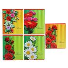 Тетрадь 12 листов косая линейка "Цветы (фон в полоску)", обложка картон хромэрзац, 5 видов МИКС - Фото 1