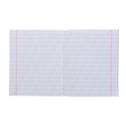 Тетрадь 12 листов косая линейка "Цветы (фон в полоску)", обложка картон хромэрзац, 5 видов МИКС - Фото 2