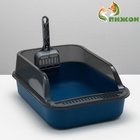 Туалет с прозрачными бортами с совком и фильтром, 40×28×16 см, синий - Фото 2