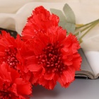 Цветы искусственные «Гвоздика каспар галант», 58×7 см, красные - Фото 2