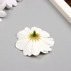 Бутон на ножке для декорирования "Многослойная ромашка белая" 6х6 см (комплект 10 шт) - фото 26246264