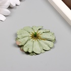 Бутон на ножке для декорирования "Многослойная ромашка зелёная" 6х6 см (комплект 10 шт) - фото 26246270