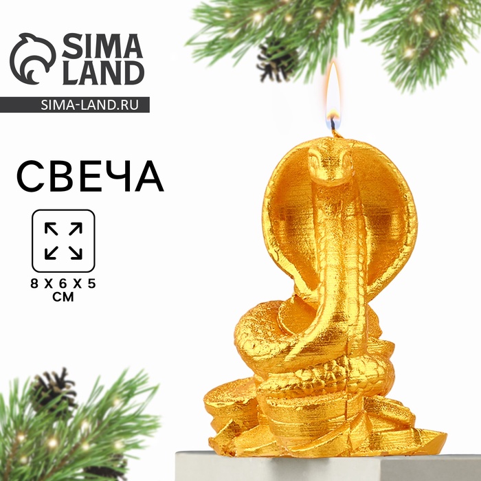 

Свеча новогодняя «Змея на монетках», на Новый год, золотая, 78 х 61 х 52