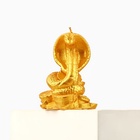 Свеча новогодняя «Змея на монетках», на Новый год, золотая, 78 х 61 х 52 - фото 26215418