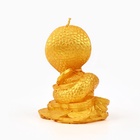 Свеча новогодняя «Змея на монетках», на Новый год, золотая, 78 х 61 х 52 - фото 26183049