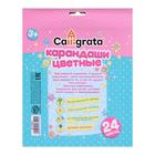 Карандаши Calligrata «Принцесса», 24 цвета, деревянные, трёхгранные - Фото 2