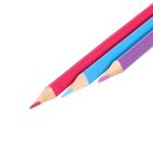 Карандаши Calligrata «Принцесса», 24 цвета, деревянные, трёхгранные - Фото 4