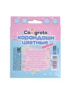 Карандаши Calligrata «Принцесса», цветные, 12 цветов деревянные, трёхгранные, мини - Фото 5