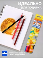 Карандаши Calligrata, цветные, 6 цветов, деревянные, трёхгранные - Фото 3