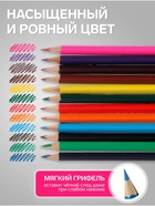 Карандаши Calligrata «Принцесса», цветные, 12 цветов, деревянные, трёхгранные - Фото 3