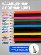Карандаши Calligrata цветные, 12 цветов, деревянные, трёхгранные, мини - Фото 3