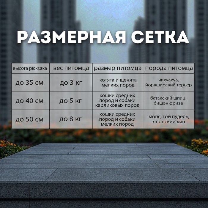 

Рюкзак-переноска для кошек и собак, 39 х 40 х 25 см, бирюза