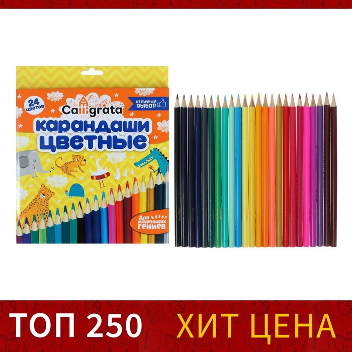 Карандаши Calligrata, цветные, 24 цвета, деревянные, трёхгранные - Фото 1
