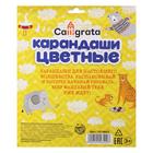 Карандаши Calligrata, цветные, 24 цвета, деревянные, трёхгранные, МИКС - Фото 6