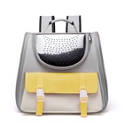 Рюкзак-переноска для кошек и собак, сетка с кошкой, оксфорд+ПВХ37×37×25 см, серый/жёлтый - Фото 2