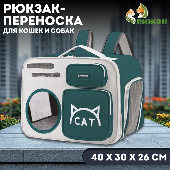 Рюкзак для переноски «Котик», прозрачный, 40×30×26 см, серо-зелёный - Фото 1